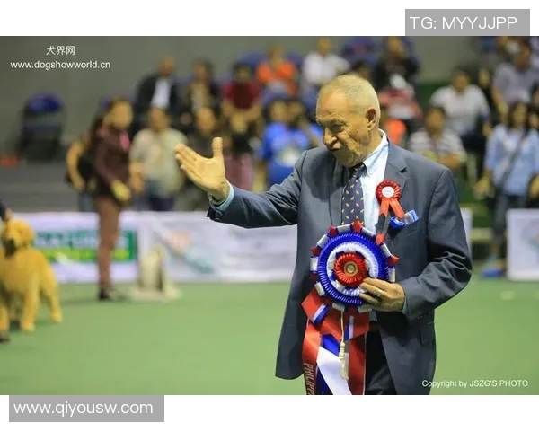 bis比赛-激情燃烧的瞬间，BIS比赛的精彩回顾-bis比赛